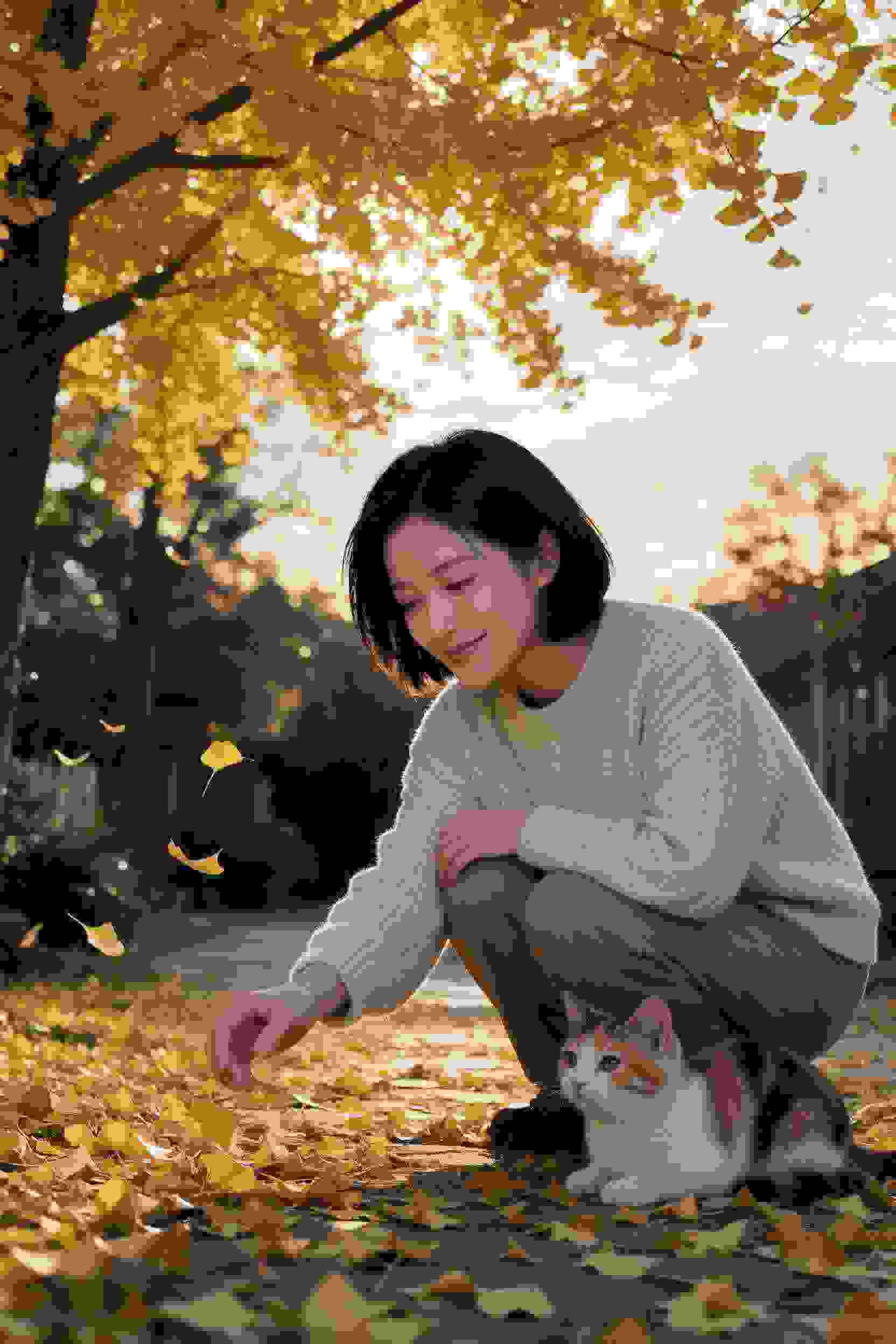 琼华仙梦